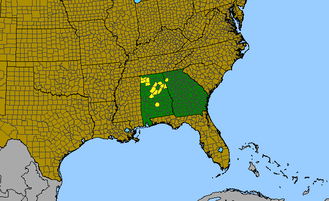 The range of Jamesianthus alabamensis